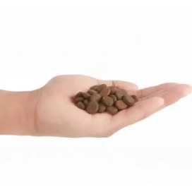Orijen Regional Red Pienso alto en proteina Perros Pienso Natural para Perros Patitas&co Orijen Regional Red Pienso alto en proteina Perros Pienso Natural para Perros Patitas&co