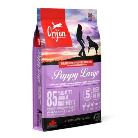Orijen Puppy Large Pienso Natural Perros Cachorros de Raza Grande Pienso seco Patitas&co