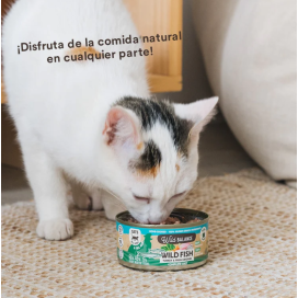 Wild Balance Wild FIsh Comida Humeda Gato Comida húmeda para gatos Patitas&co Wild Balance Wild FIsh Comida Humeda Gato Comida húmeda para gatos Patitas&co