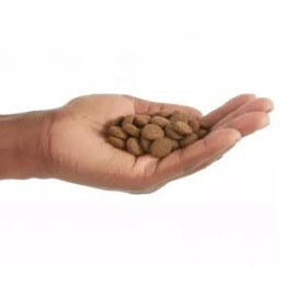 Orijen Senior Pienso Natural Alto en Proteina Perros Pienso Natural para Perros Patitas&co Orijen Senior Pienso Natural Alto en Proteina Perros Pienso Natural para Perros Patitas&co