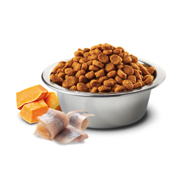 Farmina ND Ocean “Adult Mini” Bacalao y Calabaza Perro Pienso Natural para Perros Patitas&co Farmina ND Ocean “Adult Mini” Bacalao y Calabaza Perro Pienso Natural para Perros Patitas&co