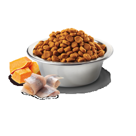 Farmina ND Ocean Adult Medium Maxi Bacalao Perro Pienso Natural para Perros Patitas&co Farmina ND Ocean Adult Medium Maxi Bacalao Perro Pienso Natural para Perros Patitas&co