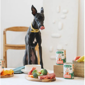 Wild Balance Guiso del Pescador Perro Comida húmeda Perros Patitas&co Wild Balance Guiso del Pescador Perro Comida húmeda Perros Patitas&co