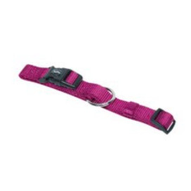Nobby Collar Nylon Frambuesa Collar, Correa y Arnes para Gatos Patitas&co