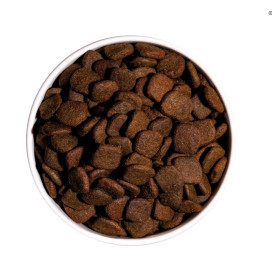 Ownat Grain Free Hypoallergenic Salmon para Perro Pienso Natural para Perros Patitas&co Ownat Grain Free Hypoallergenic Salmon para Perro Pienso Natural para Perros Patitas&co