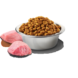 Farmina ND Pumpkin Pienso Natural Cordero Gatos Esterilizados Pienso para gatos Patitas&co Farmina ND Pumpkin Pienso Natural Cordero Gatos Esterilizados Pienso para gatos Patitas&co