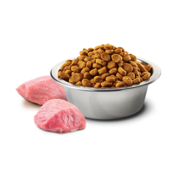 Farmina ND Pumpkin Pienso Natural Codorniz Gatos Esterilizados Pienso para gatos Patitas&co Farmina ND Pumpkin Pienso Natural Codorniz Gatos Esterilizados Pienso para gatos Patitas&co
