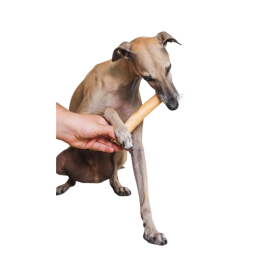 Snack Mordedor Piel de Caballo Perro (ud) Mordedores para Perros Patitas&co Snack Mordedor Piel de Caballo Perro (ud) Mordedores para Perros Patitas&co