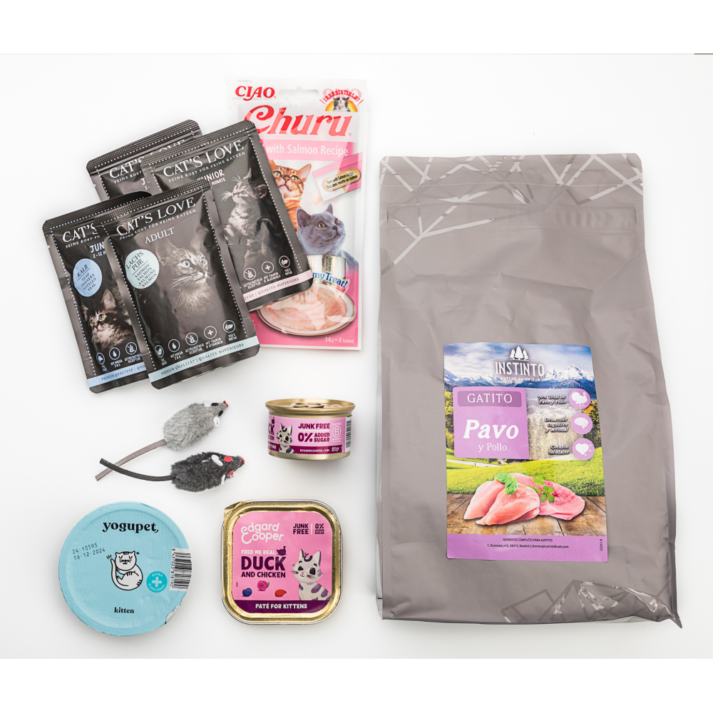 Pack Kitten Packs Patitas&co Patitas&co Pack Kitten Packs Patitas&co Patitas&co