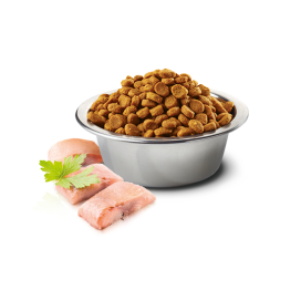 Farmina ND Ocean Adult Mini Arenque y Naranja Perro Pienso Natural para Perros Patitas&co Farmina ND Ocean Adult Mini Arenque y Naranja Perro Pienso Natural para Perros Patitas&co