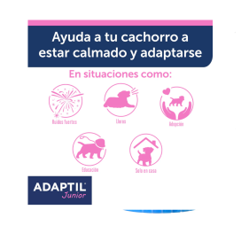 Adaptil Collar Junior para Perro cachorro Feromonas Tranquilizantes para Perros Patitas&co Adaptil Collar Junior para Perro cachorro Feromonas Tranquilizantes para Perros Patitas&co