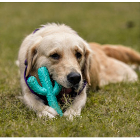 Freedog Juguete Cactus de Goma para Perro Especial Verano Patitas&co Freedog Juguete Cactus de Goma para Perro Especial Verano Patitas&co