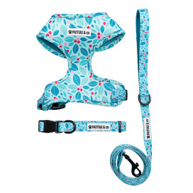 Pack Patitas Primavera Arnes + Collar + Correa Collar, Correa y Arnes Perro Patitas&co Pack Patitas Primavera Arnes + Collar + Correa Collar, Correa y Arnes Perro Patitas&co