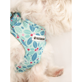 Pack Patitas Primavera Arnes + Collar + Correa Collar, Correa y Arnes Perro Patitas&co Pack Patitas Primavera Arnes + Collar + Correa Collar, Correa y Arnes Perro Patitas&co