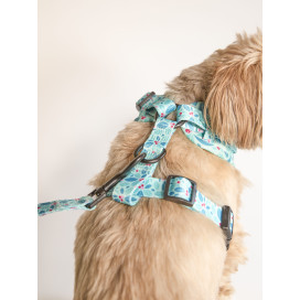 Pack Patitas Primavera Arnes + Collar + Correa Collar, Correa y Arnes Perro Patitas&co Pack Patitas Primavera Arnes + Collar + Correa Collar, Correa y Arnes Perro Patitas&co