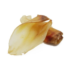 Snack Natural Oreja de Ternera (ud) Snacks Saludables para Perros Patitas&co Snack Natural Oreja de Ternera (ud) Snacks Saludables para Perros Patitas&co