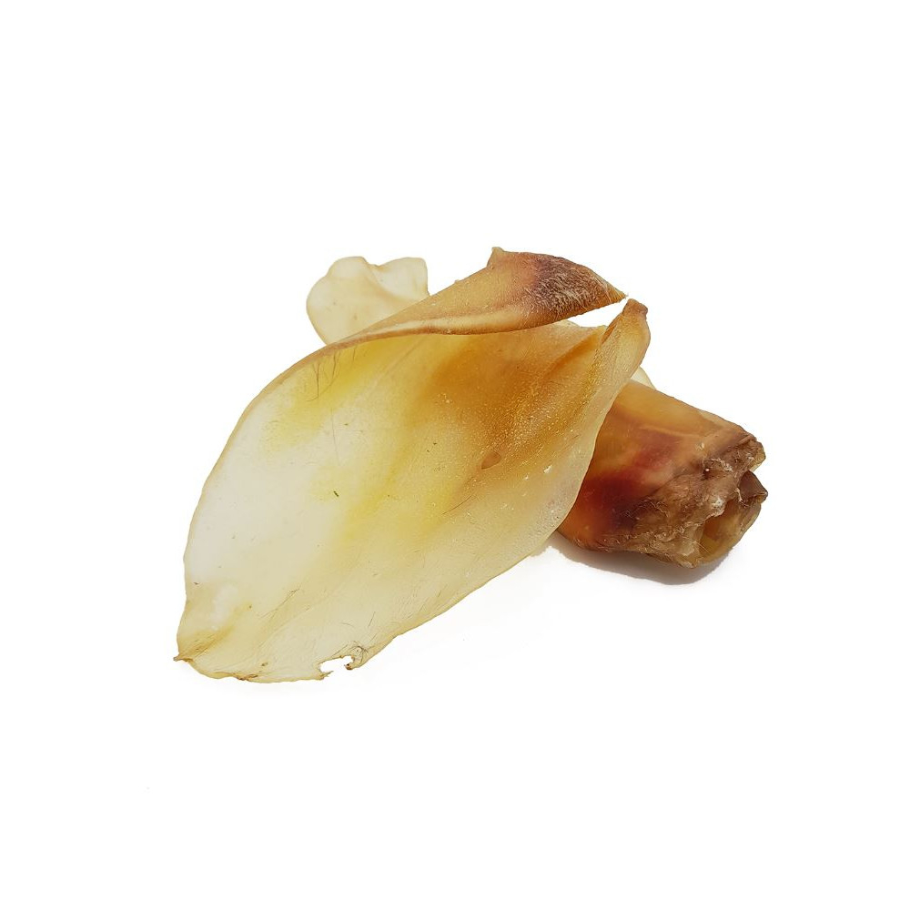 Snack Natural Oreja de Ternera (ud) Snacks Saludables para Perros Patitas&co Snack Natural Oreja de Ternera (ud) Snacks Saludables para Perros Patitas&co