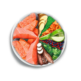 Amanova Pienso Adult Sensitive Salmon para Perro Pienso Natural para Perros Patitas&co Amanova Pienso Adult Sensitive Salmon para Perro Pienso Natural para Perros Patitas&co
