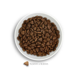 Amanova Pienso Adult Exigent para Perro Pienso Natural para Perros Patitas&co Amanova Pienso Adult Exigent para Perro Pienso Natural para Perros Patitas&co