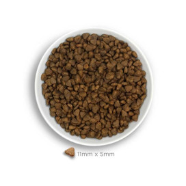 Amanova Pienso Adult Mini Exigent para Perros Pequeños Pienso Natural para Perros Patitas&co Amanova Pienso Adult Mini Exigent para Perros Pequeños Pienso Natural para Perros Patitas&co