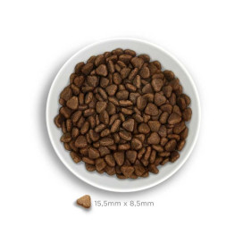 Amanova Pienso Adult Sensitive Cordero para Perros Pienso Natural para Perros Patitas&co Amanova Pienso Adult Sensitive Cordero para Perros Pienso Natural para Perros Patitas&co