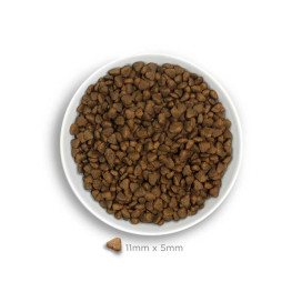Amanova Pienso Adult Mini Sensitive Cordero para Perros Pequeños Pienso Natural para Perros Patitas&co Amanova Pienso Adult Mini Sensitive Cordero para Perros Pequeños Pienso Natural para Perros Patitas&co