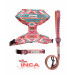 Pack Patitas Inca Arnes + Collar + Correa