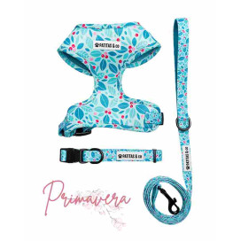 Pack Patitas Primavera Arnes + Collar + Correa Collar, Correa y Arnes Perro Patitas&co