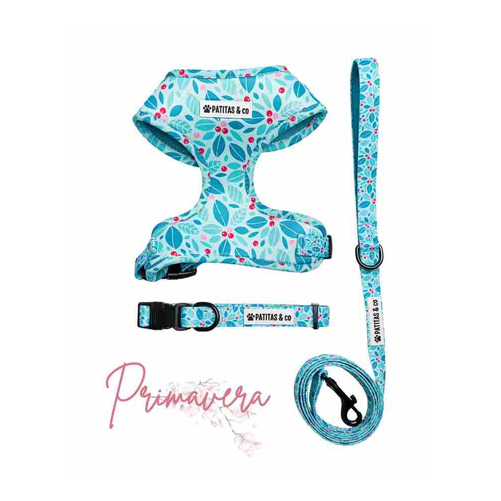 Pack Patitas Primavera Arnes + Collar + Correa Collar, Correa y Arnes Perro Patitas&co Pack Patitas Primavera Arnes + Collar + Correa Collar, Correa y Arnes Perro Patitas&co
