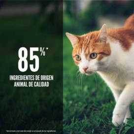 Orijen Fit and Trim Cat Pienso Natural proteico Gatos Pienso para gatos Patitas&co Orijen Fit and Trim Cat Pienso Natural proteico Gatos Pienso para gatos Patitas&co