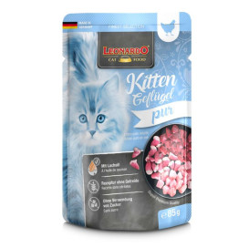 Leonardo Sobre Kitten Ave Finest Selection para Gatitos Patitas&co Patitas&co