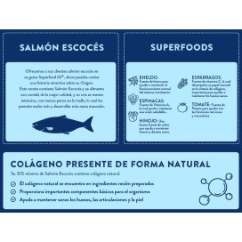 Instinto Salmon Escoces Pienso Natural Cachorro Pienso Natural para Perros Patitas&co Instinto Salmon Escoces Pienso Natural Cachorro Pienso Natural para Perros Patitas&co
