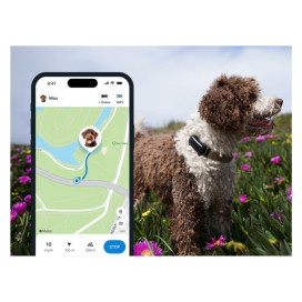 Tractive Dog 6 Black Localizador GPS para Perro Accesorios para perros Patitas&co Tractive Dog 6 Black Localizador GPS para Perro Accesorios para perros Patitas&co