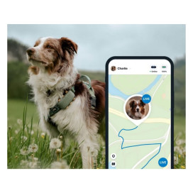 Tractive GPS Pet Tracker XL Localizador para Perros Grandes Accesorios para perros Patitas&co Tractive GPS Pet Tracker XL Localizador para Perros Grandes Accesorios para perros Patitas&co