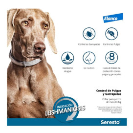 Seresto Collar Antiparasitario para Perro Antiparasitarios y Repelentes para perros Patitas&co Seresto Collar Antiparasitario para Perro Antiparasitarios y Repelentes para perros Patitas&co