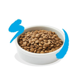 Edgard and Cooper Salmon Pienso Natural para Gatos Pienso para gatos Patitas&co Edgard and Cooper Salmon Pienso Natural para Gatos Pienso para gatos Patitas&co
