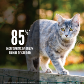 Orijen Original Cat Pienso Natural proteico Gatos Pienso seco Patitas&co Orijen Original Cat Pienso Natural proteico Gatos Pienso seco Patitas&co