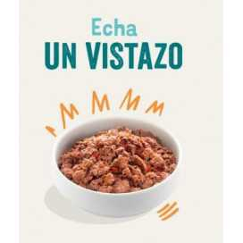 Edgard and Cooper Adult sin cereales pollo y pavo Perros 400g Comida húmeda Perros Patitas&co Edgard and Cooper Adult sin cereales pollo y pavo Perros 400g Comida húmeda Perros Patitas&co