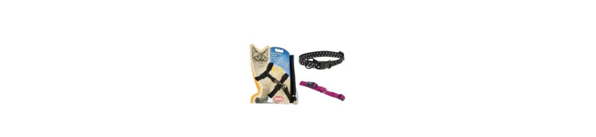Collar, Correa y Arnes para Gatos