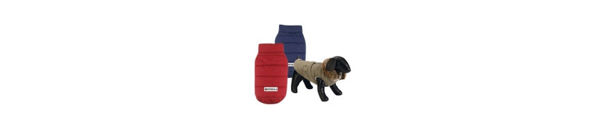 Ropa para perros - Abrigos, Jerseys y mucho más