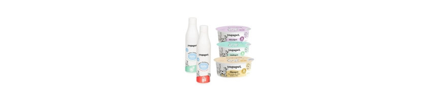 Kefir y Yogur para Gatos: Probióticos Naturales