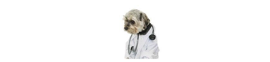 Asesoría nutricional para tu mascota