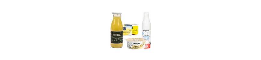 Suplementos y Comida Gastrointestinal Gatos