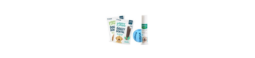 Dental Perro: Cuidado Bucal Completo