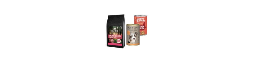 Alimentación Específica para Perros Senior