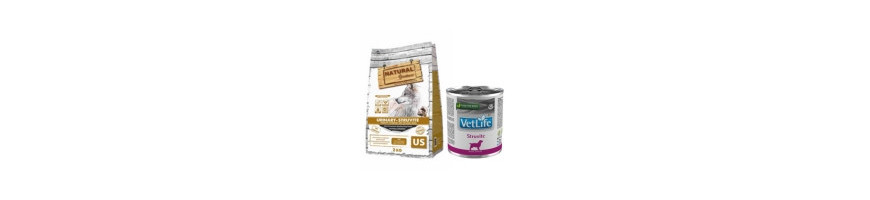 Alimentación Urinary Care para Perros