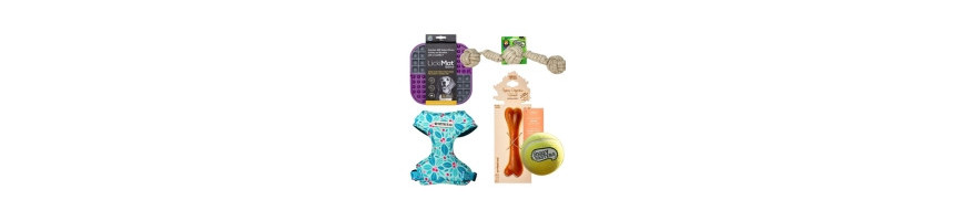 Accesorios para Perros - Comodidad y Calidad