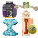 Accesorios