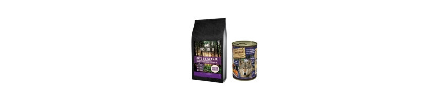 Comidas Adaptadas Para Perros Diabéticos