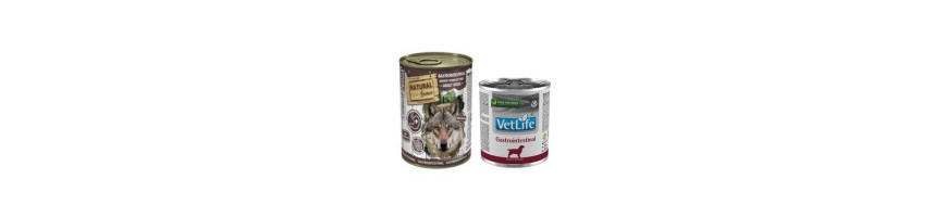 Lata Gastrointestinal para Perros de Calidad